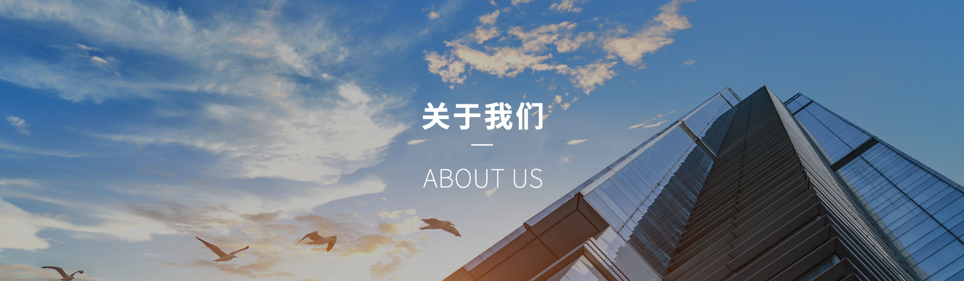 驾驶技巧_成都云驾服科技有限公司